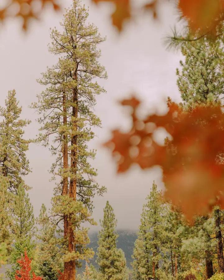 Colorado Lodge Big Bear Lake Eksteriør bilde
